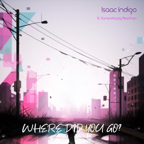 Cover art for Where Did You Go?